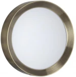 Настенно-потолочный светильник Odeon Light Lunor 4948/30CL