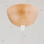 Подвесной светильник Alfa Anja 9648(80400)