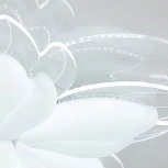 Потолочная люстра светодиодная Natali Kovaltseva Effect LED LAMPS 81118 с пультом ДУ, моб. приложением 160W, белый, LED