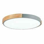 Потолочный светильник Evoluce Delia SLE201372-01