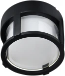 Уличный потолочный светильник Arte Lamp Ulysses A6206PF-1BK