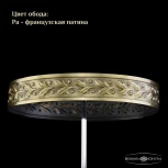 Потолочная люстра Bohemia 1927 19273/H2/55IV Pa