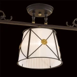 Потолочная люстра Citilux Дрезден CL409232 (220V)