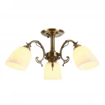 Потолочная люстра на штанге MyFar Biene MR1522-3C (220V)