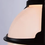 Уличный светильник подвесной Arte Lamp Monaco A1495SO-1BK