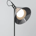 Настольная лампа Eurosvet Enigma 01186/1