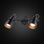 Спот на штанге Citilux Бейкер CL541521 (220V, выключатель, круглые)