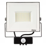 Прожектор уличный светодиодный с датчиком движения Ritter PROFI 53423 9