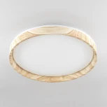 Потолочный светильник RGB круглый светодиодный с пультом Citilux Enzo CL753452G (220V, круглые)