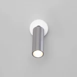 Умный спот Eurosvet Pin 20133/1 LED серебро (220V, круглые)