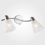 Спот Eurosvet Organic 20053/2 хром