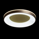 Потолочный светильник круглый De City Норден 660015601 (регулировка яркости, LED, 220V, пульт управления, круглые)