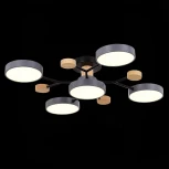 Потолочная люстра на штанге Evoluce Faema SLE6006-702-05