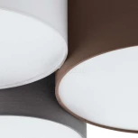 Потолочная люстра Eglo Pastore 97479