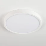 Потолочный светильник круглый Citilux Бейсик CL738180V (LED, 220V, IP40)