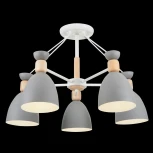 Потолочная люстра Freya Delia FR5033CL-05W