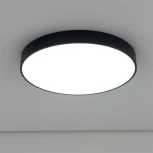 Потолочный светильник RGB круглый светодиодный с пультом Купер CL72495G1 (220V, круглые)