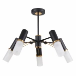 Потолочная люстра F-Promo Viator 2558-5P (220V)