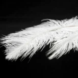 Подвесная люстра Cuscino GRLSP-8600 Lussole (220V, на проводе, перо)