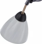 Потолочная люстра на штанге Arte Milano Napoli 324108/5 BK+FG (220V)