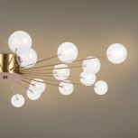 Потолочная люстра Freya Celebrity FR5242CL-24BS1 (220V, шарики)