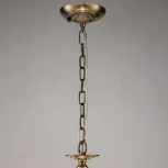 Подвесная люстра F-Promo Imber 2639-12P