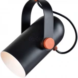 Подвесной светильник Favourite Ampolla 2007-1P (220V, на проводе, круглые)