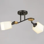 Потолочная люстра на штанге Reluce 04217-0.3-02 BK