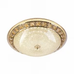 Потолочный светильник светодиодный с пультом с регулировкой цветовой температуры и яркости LED4U LED4U L1110-500 GD