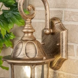 Настенный фонарь уличный Elektrostandard Orion черное золото