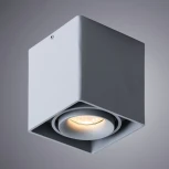 Накладной точечный светильник Arte Lamp Pictor A5654PL-1GY