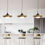 Подвесной светильник Rask ImperiumLoft Rask01 (151756-26) (LED, 220V, на тросе)