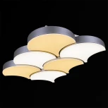 Потолочный светильник светодиодный с пультом Reluce 01218-0.3-06LED (220V)