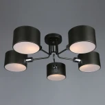 Потолочная люстра Omnilux Liser OML-54507-05 (220V)