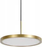 Подвесной светильник светодиодный Newport 3510 3511/S brass (220V, на проводе, круглые)