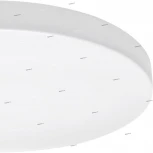 Потолочный светильник круглый Lightstar Arco 225264 (LED, 220V, IP44)
