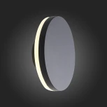 Настенный светильник уличный ST Luce Contario SL087.401.01 (LED, 220V, круглые, IP54)
