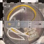 Бра Citilux Грета CL333311 (220V)