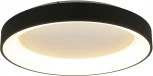 Потолочный светильник круглый Mantra Niseko 8640 (регулировка яркости, LED, 220V, пульт управления, круглые)