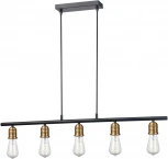 Подвесной светильник Vele Luce Tenuto VL6532P05