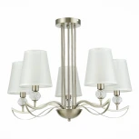 Потолочная люстра Evoluce Bergamo SLE111203-05