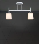 Потолочная люстра Wedo Light Semel WD3640/2C-WT-CR-WT