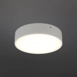 Потолочный светильник круглый Aployt Evon APL.0113.09.18 (LED, 220V, круглые)