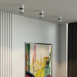 Светильник потолочный светодиодный Elektrostandard Kayo 12W 4000К белый/черный a064731 (220V, круглые)