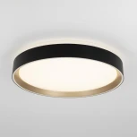 Потолочный светильник RGB круглый светодиодный с пультом Citilux Boss CL751351G (220V, круглые)