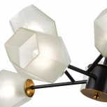 Потолочная люстра на штанге Evoluce Terramo SLE205102-08 (220V, шарики)