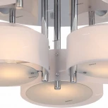 Потолочная люстра ST Luce Foresta SL483.502.09