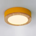 Потолочный светильник круглый Wudda D30 Желтый ImperiumLoft Wudda01 (179763-26) (LED, 220V, круглые)