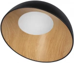 Потолочный светильник круглый Egg 10197/500 Black Loft It (LED, 220V, круглые)
