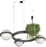 Подвесной светильник Loft It Jardin 10121/3 Dark grey (LED, 220V, на тросе, шарики)
